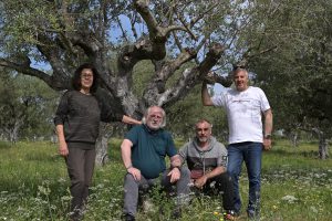 Solidaritäts-Olivenöl: A runde G’schicht